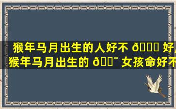 猴年马月出生的人好不 🐈 好,猴年马月出生的 🐯 女孩命好不好